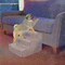 Pet Adobe Pet Adobe High Density Foam Stairs 3 Step Design, Ramp for Small Dogs, Cats with Cover, Gray 113544DFU - alternate 7